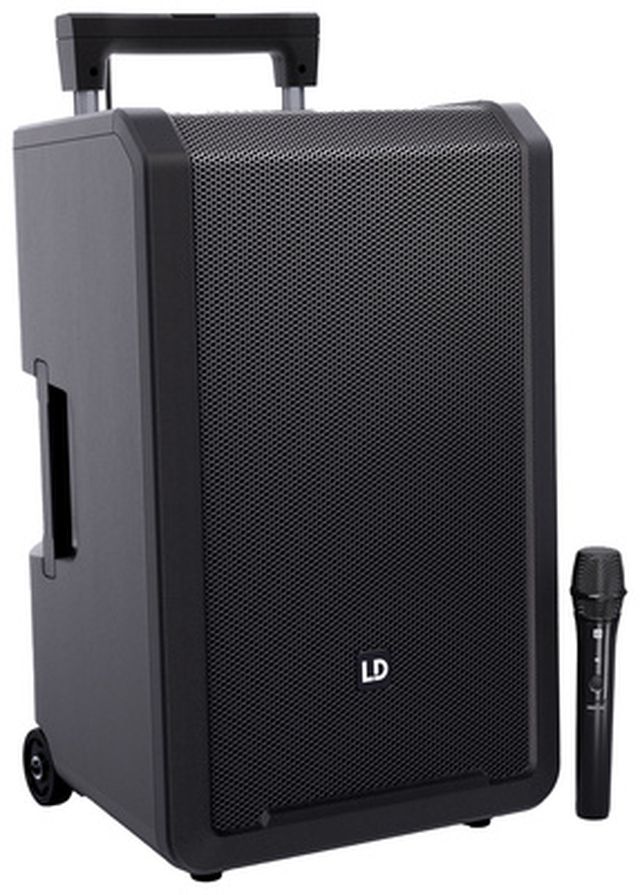 LD Systems ANNY 12 HHD B8