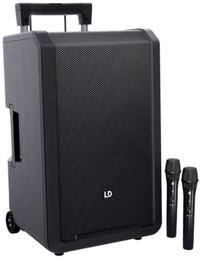 LD Systems ANNY 12 HHD 2 B8