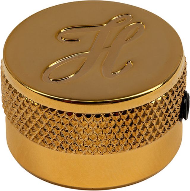 Höfner H909/17-GO G&B Knob Gold