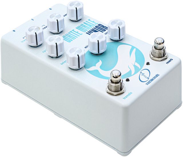 Crazy Tube Circuits White Whale JR