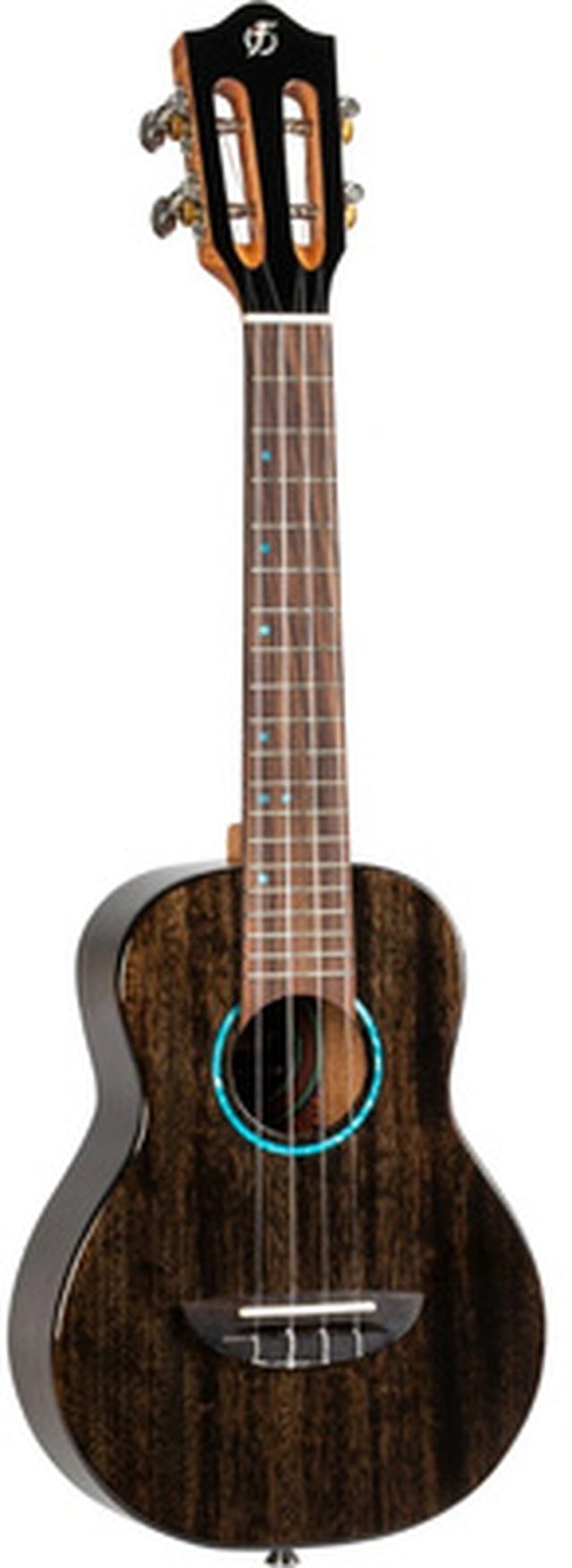 Flight Iris Tinta Concert TBK