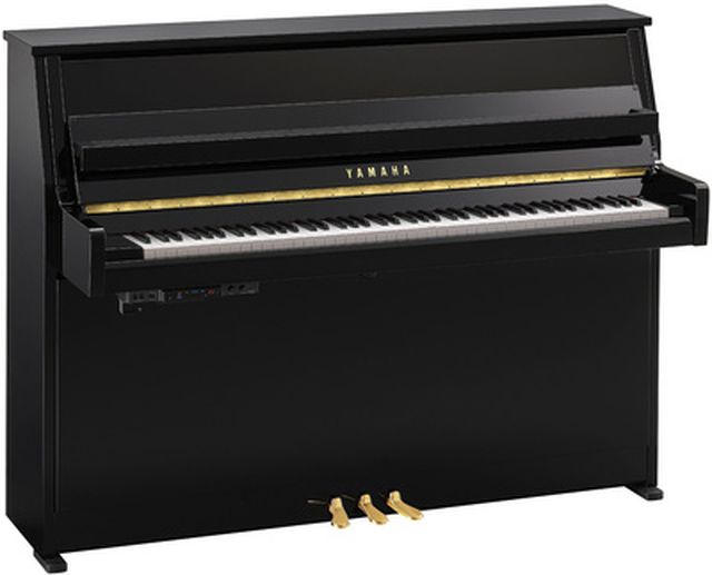 Yamaha B10 TC3 PE