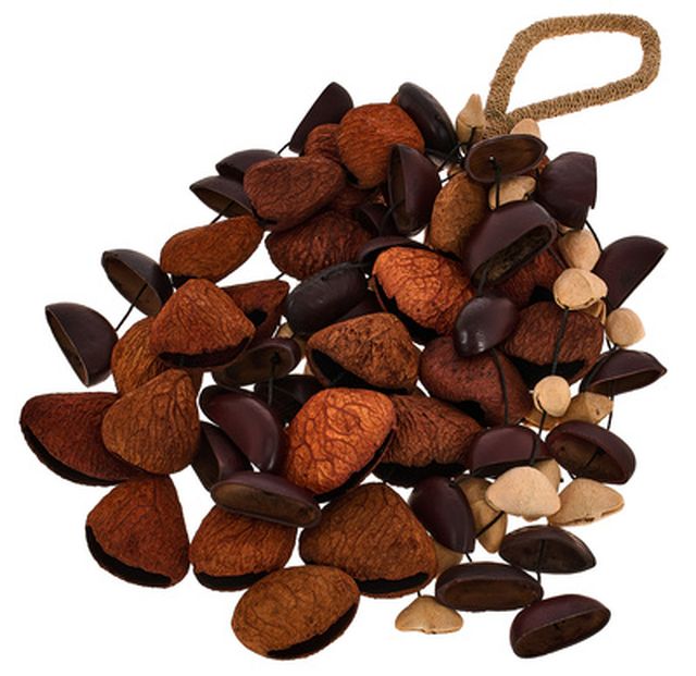 Sela Seed Shaker Mixed