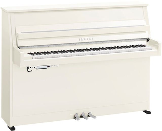 Yamaha B20 PWHC