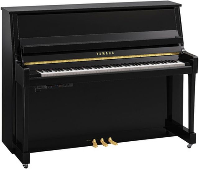 Yamaha B20 TC3 PE