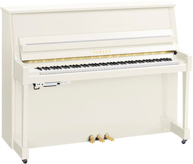 Yamaha B20 TC3 PWH
