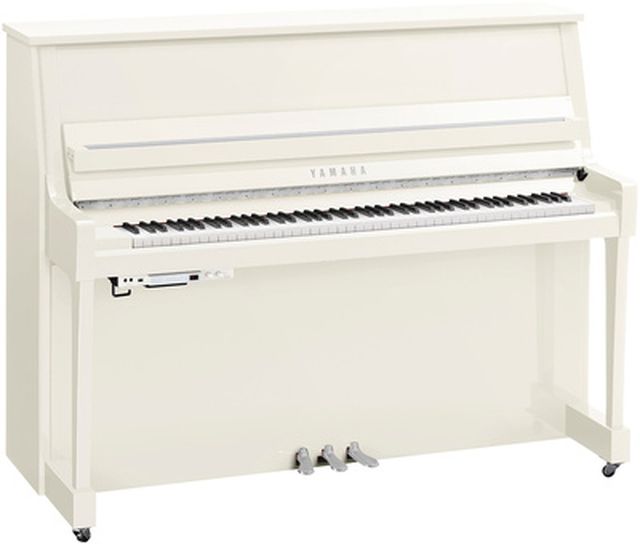 Yamaha B20 TC3 PWHC