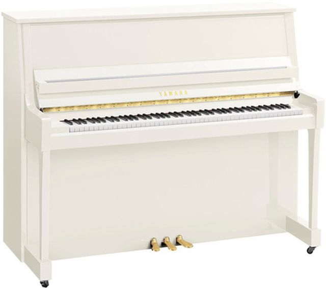 Yamaha B30 PWH
