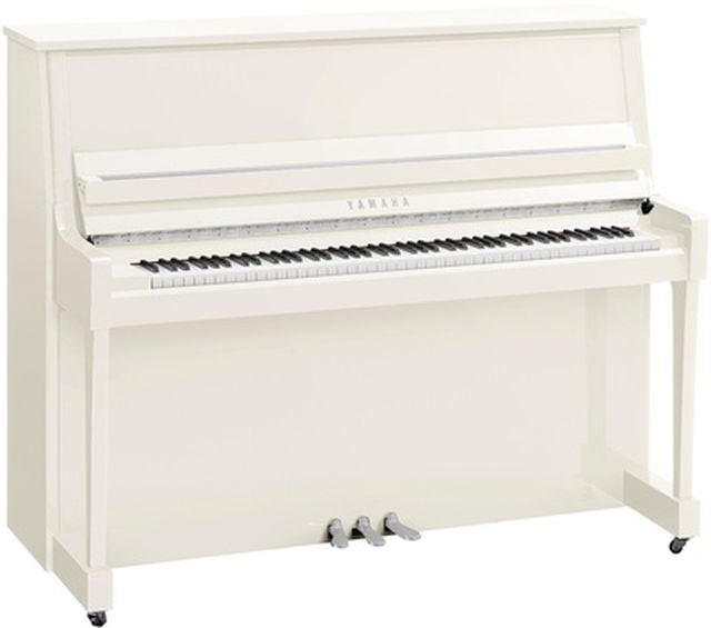 Yamaha B30 PWHC