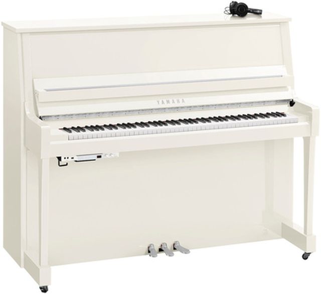 Yamaha B30 SC3 PWHC