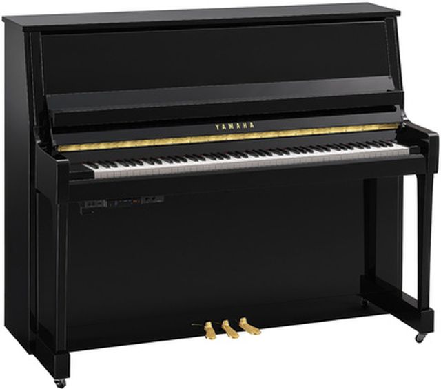 Yamaha B30 TC3 PE