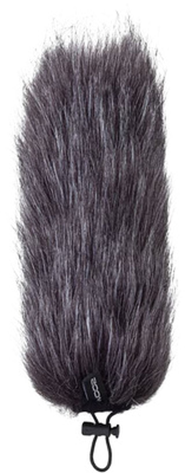 Zoom WSU-2