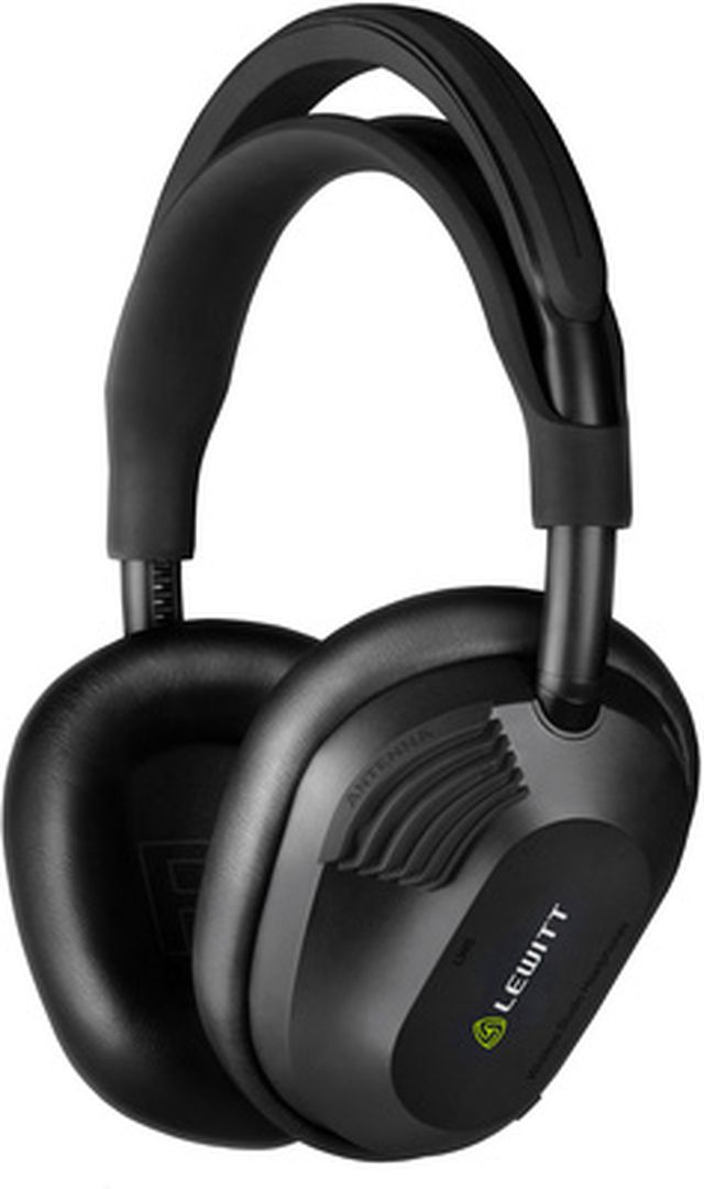 Lewitt LW6