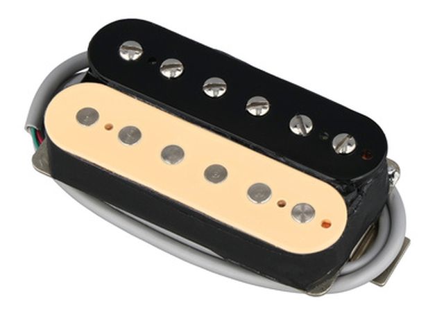 Gibson ELEV8 Rhythm Zebra