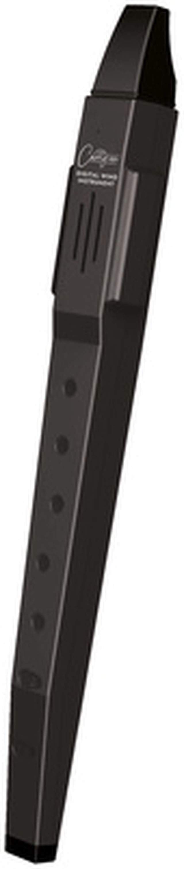 Blackstar Carry On Digital Flute, black