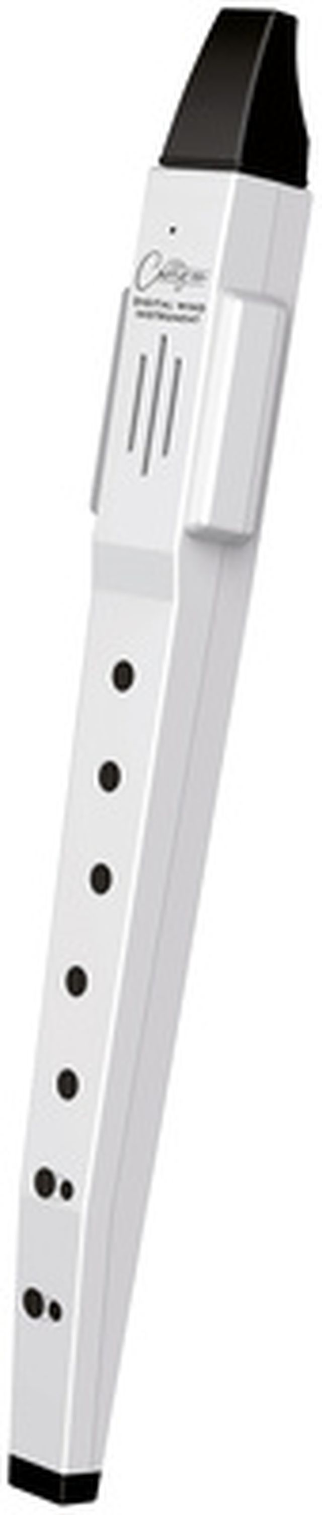 Blackstar Carry On Digital Flute, white