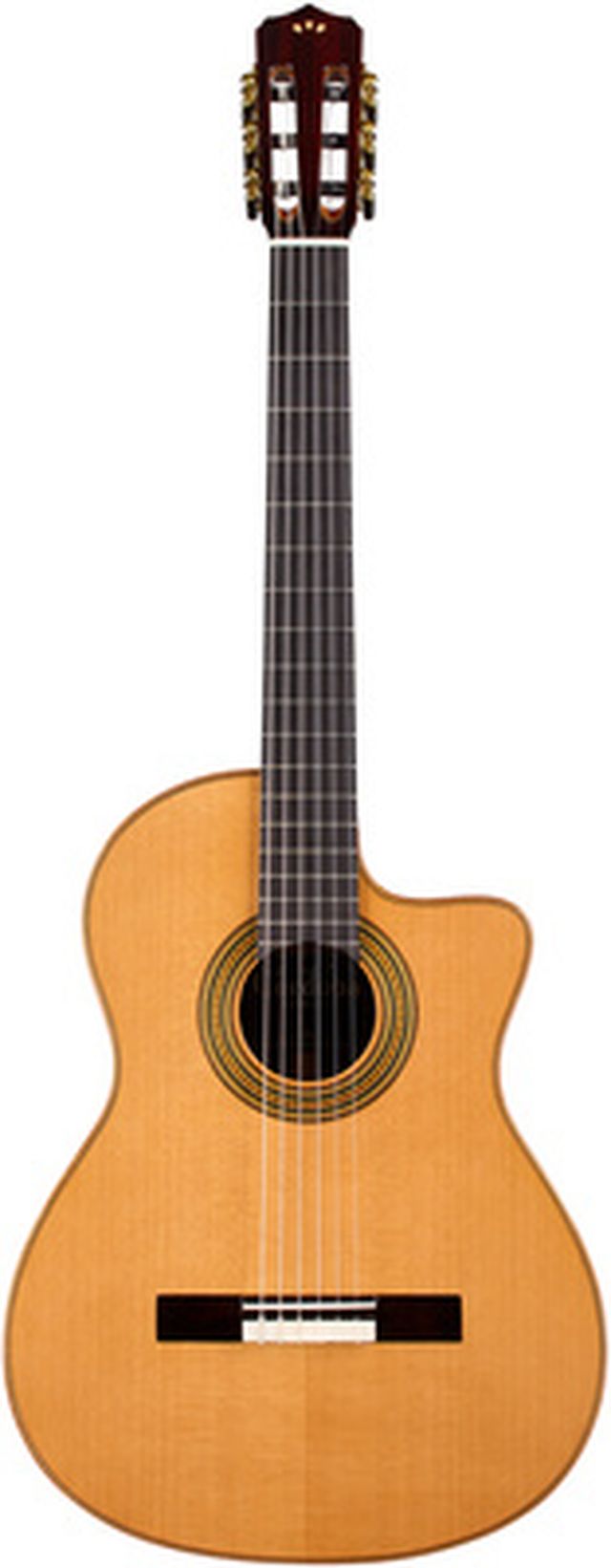 Cordoba Fusion Orchestra CE Pro