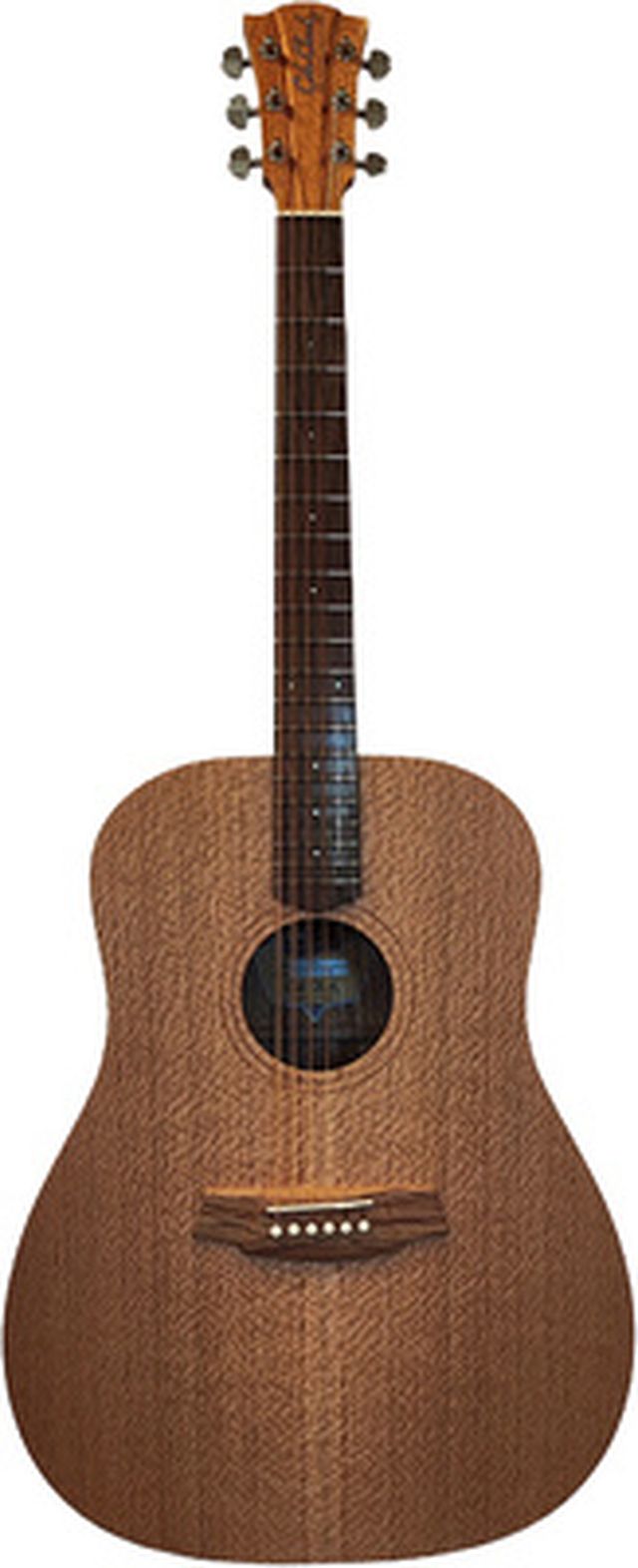 Cole Clark FL1-SSO
