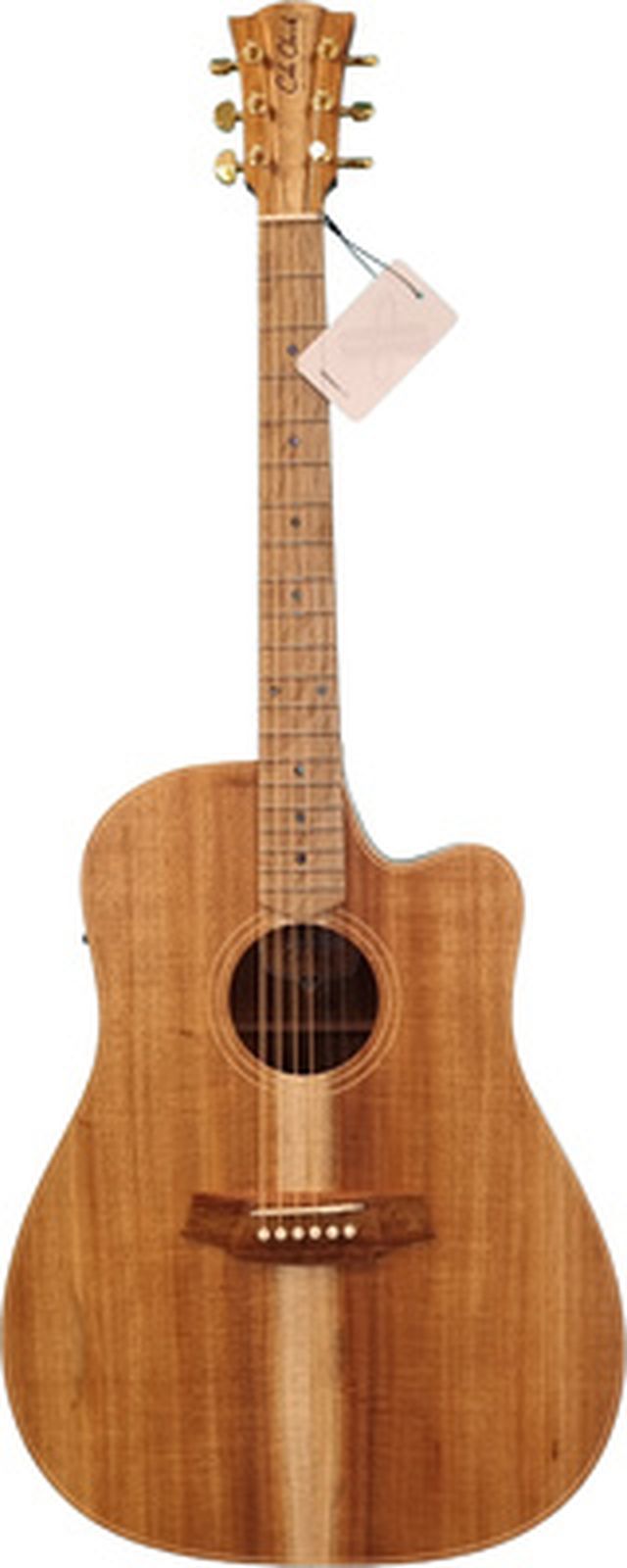 Cole Clark FL2EC-BLBL (AE)