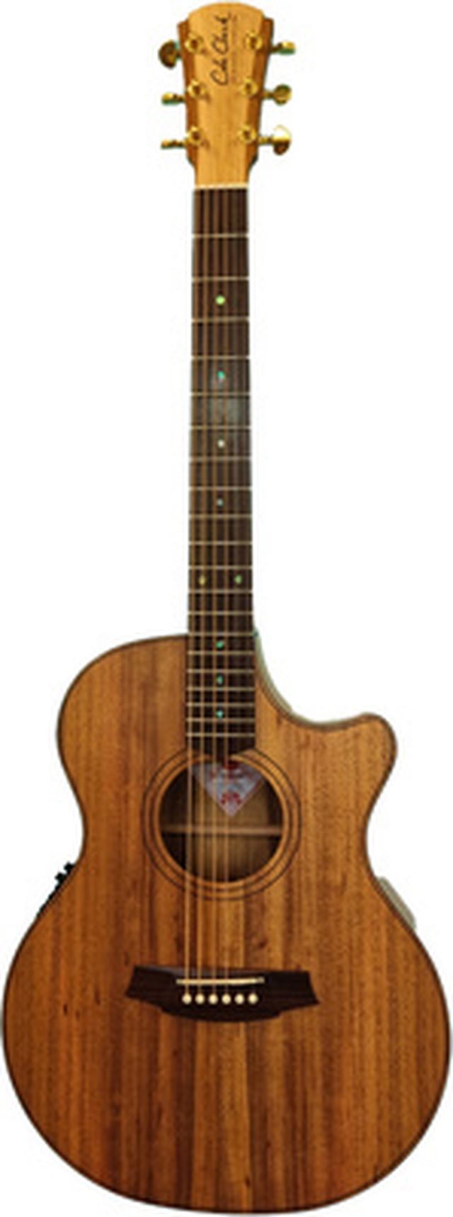Cole Clark TL2EC-BLBLR
