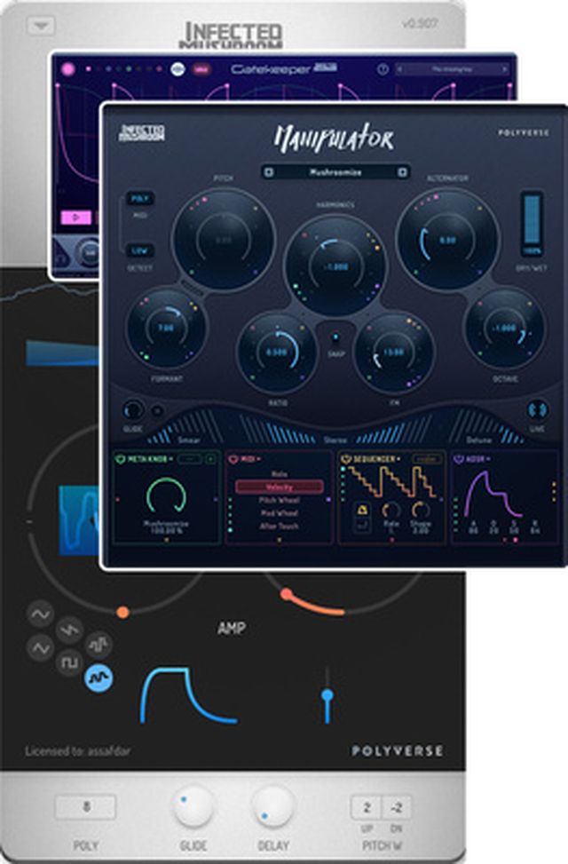 Polyverse Music Infected Mushroom Bundle