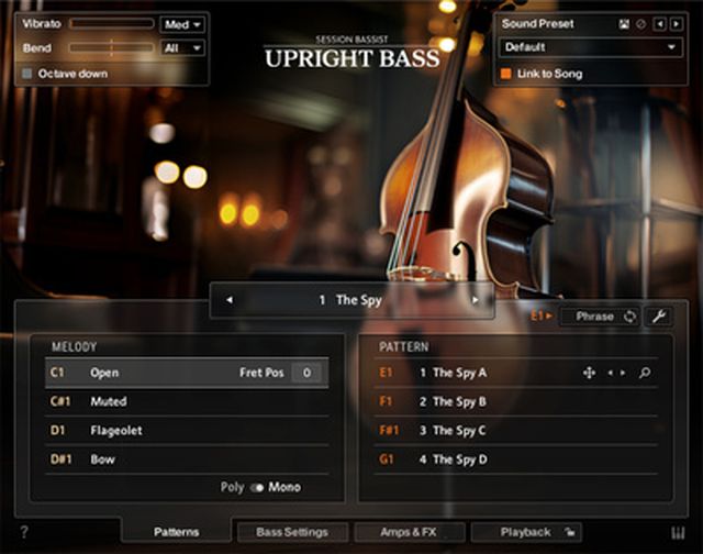 Native Instruments Session Bassist Upright Bass