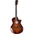 Acoustic Guitars
