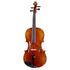 Acoustic Violas