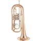 Cerveny CTR 792-3K Bass Trumpe B-Stock May have slight traces of use