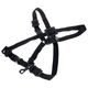 BG France S42SH Strap Children B-Stock Evt. avec légères traces d'utilisation