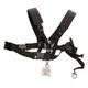 Rudolf Schwarz Strap Snare Drum Eagle B-Stock Ggf. mit leichten Gebrauchsspuren