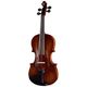 Stentor SR1880 Violin Arcadia  B-Stock May have slight traces of use