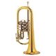 Cerveny CVFH 502R Flugelhorn B-Stock Hhv. med lette brugsspor