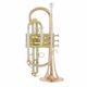 Thomann CR 600 G Bb-Cornet B-Stock Poderá apresentar ligeiras marcas de uso.