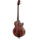 Novidades em Baixos semi-acústicos Fretless