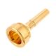 Denis Wick 4881 Cornet 4B B-Stock Ggf. mit leichten Gebrauchsspuren