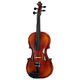 Roth & Junius RJVAE 16" Student Viol B-Stock May have slight traces of use