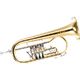 B&S 17/2TR-L Bb-Flugelhorn B-Stock May have slight traces of use