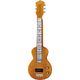 Recording King RG-31-NA Lap Steel B-Stock May have slight traces of use