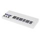 Mellotron M4000D Mini B-Stock Ggf. mit leichten Gebrauchsspuren