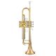 Yamaha YTR-8335RG 04 Trumpet B-Stock May have slight traces of use