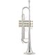 Thomann TR 800 S MKII Bb-Trump B-Stock Kan lichte gebruikssporen bevatten