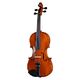 Hidersine Piacenza Violin Set 4/ B-Stock Kan lichte gebruikssporen bevatten