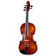 Thomann Europe 5-Str. Antiqued B-Stock Ggf. mit leichten Gebrauchsspuren