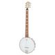 Deering Goodtime 6 Banjo 11" B-Stock eventualmente con lievi segni d'usura