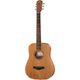 Taylor Baby Mahogany BT2 B-Stock Evt. avec légères traces d'utilisation