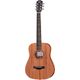 Taylor Baby Mahogany BT2 LH B-Stock Evt. avec légères traces d'utilisation