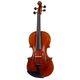 Nouveautés Violons Haut de Gamme 