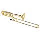 Startone PTB-20 Bb/F- Trombone  B-Stock eventualmente con lievi segni d'usura