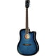 Harley Benton D-120CE TB B-Stock Hhv. med lette brugsspor